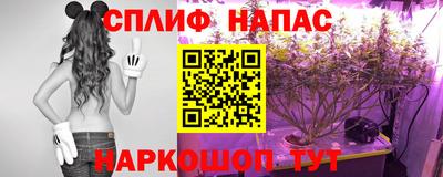 прущие крисы Гатчина