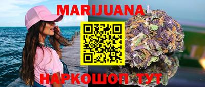 прущие крисы Гатчина