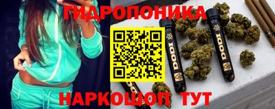 прущие крисы Гатчина
