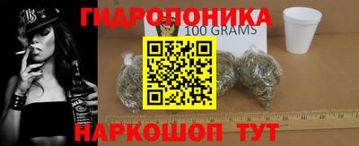 не бодяженный Гай