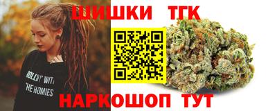 индика Пугачёв