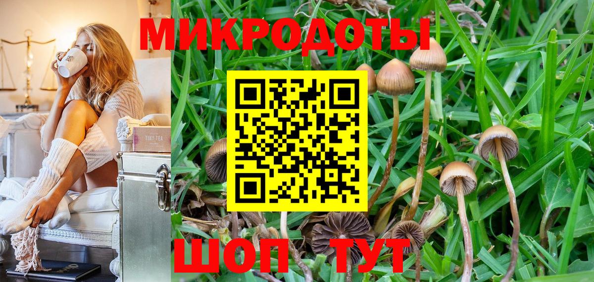 Галлюциногенные грибы Psilocybine cubensis Барнаул